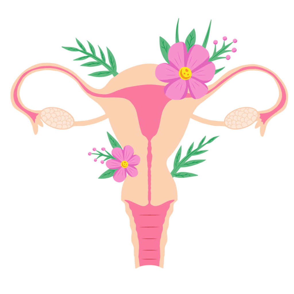 floral uterus